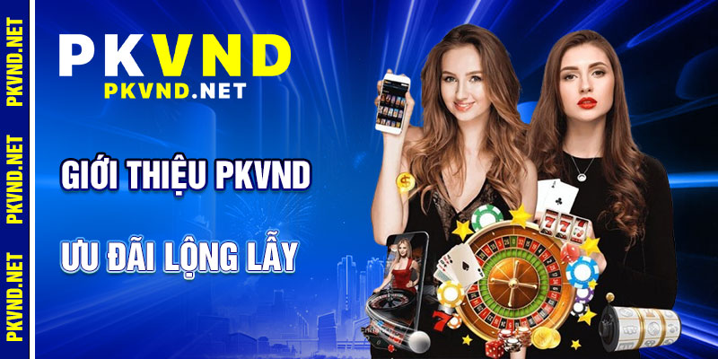 Giới Thiệu PKVND: Ưu Đãi Lộng Lẫy