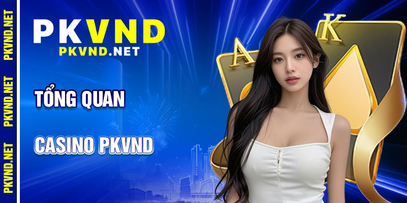 Casino PKVND: Trải Nghiệm Sòng Bạc
