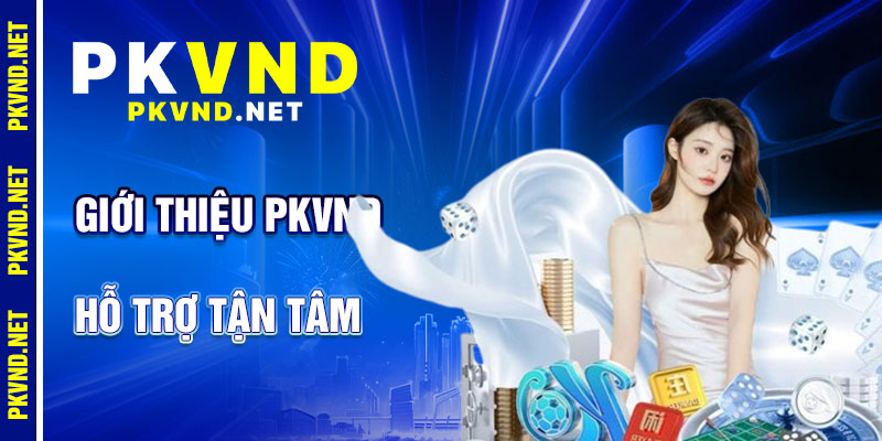 Giới Thiệu PKVND: Bí Kíp Tối Ưu