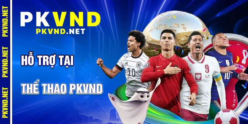 Thể Thao PKVND: Hỗ Trợ Tận Tâm
