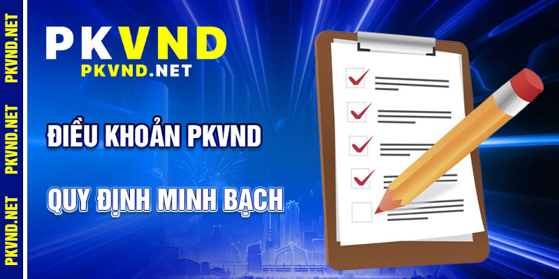 Điều Khoản PKVND: Quy Định Minh Bạch