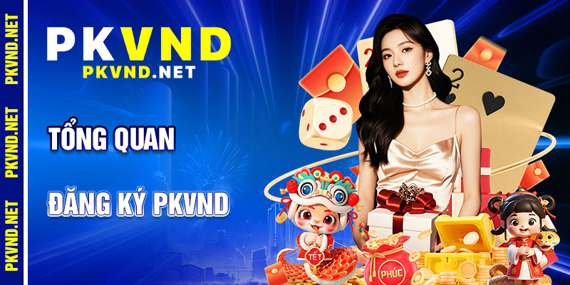 Đăng Ký PKVND: Quy Trình Nhanh Chóng
