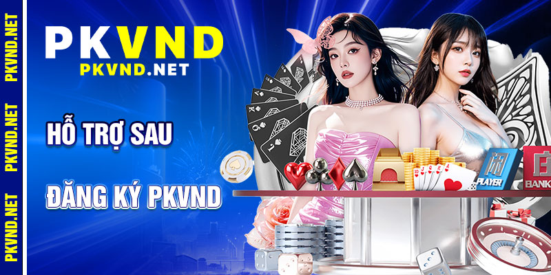Đăng Ký PKVND: Hỗ Trợ Tận Tâm