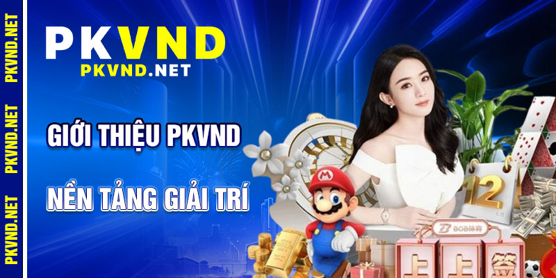 Giới Thiệu PKVND: Nền Tảng Giải Trí