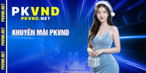 Khuyến Mãi PKVND