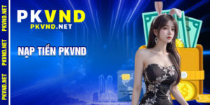 Nạp Tiền PKVND