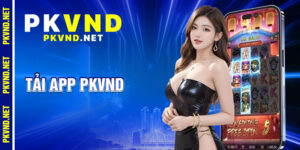 Tải App Pkvnd