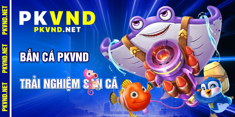Bắn Cá PKVND: Hỗ Trợ Tận Tâm