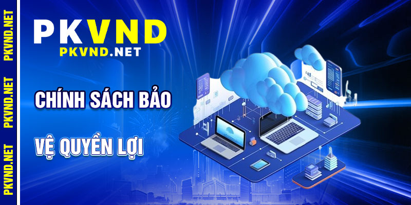 Chính Sách Bảo Mật PKVND: Bảo Vệ Quyền Lợi