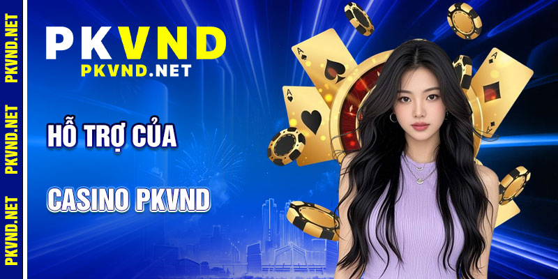 Casino PKVND: Hỗ Trợ Tận Tâm