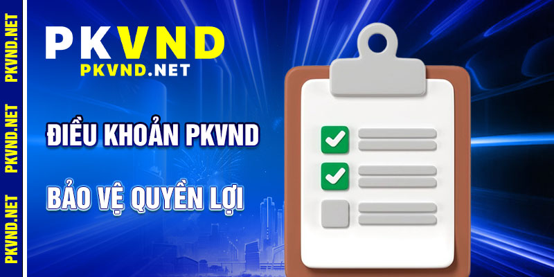 Điều Khoản PKVND: Bảo Vệ Quyền Lợi
